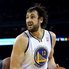 Andrew Bogut