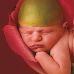 Anne Geddes