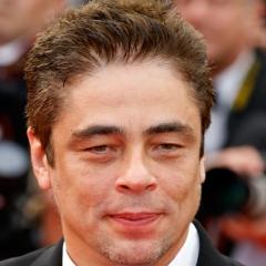 Benicio Del Toro