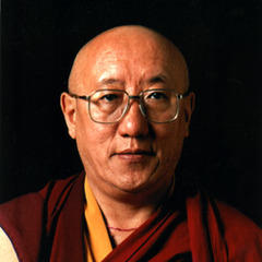 Bokar Rinpoche