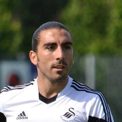 Chico Flores