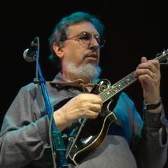 David Bromberg