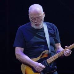 David Gilmour