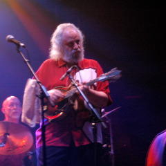 David Grisman