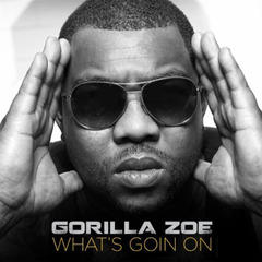 Gorilla Zoe