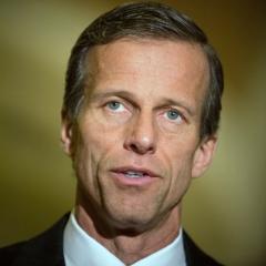 John Thune