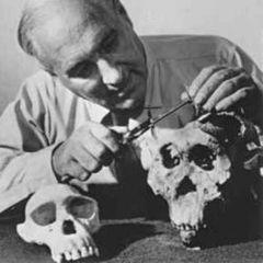 Louis Leakey