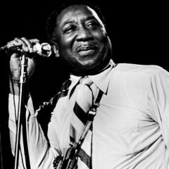 Muddy Waters