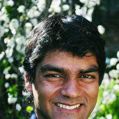 Raj Patel