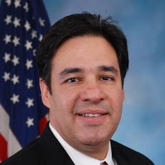 Raul Labrador