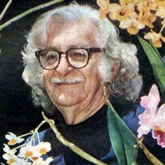 Roberto Burle Marx