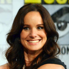 Sarah Wayne Callies