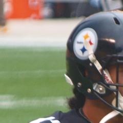 Troy Polamalu