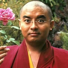 Yongey Mingyur Rinpoche